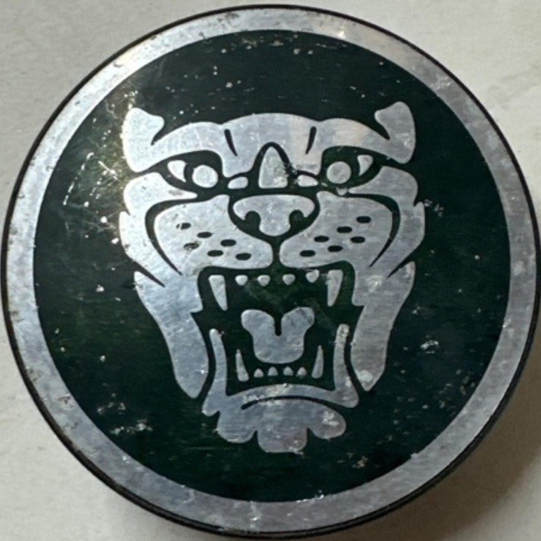 Jaguar Green Wheel Center 58MM c6397e25