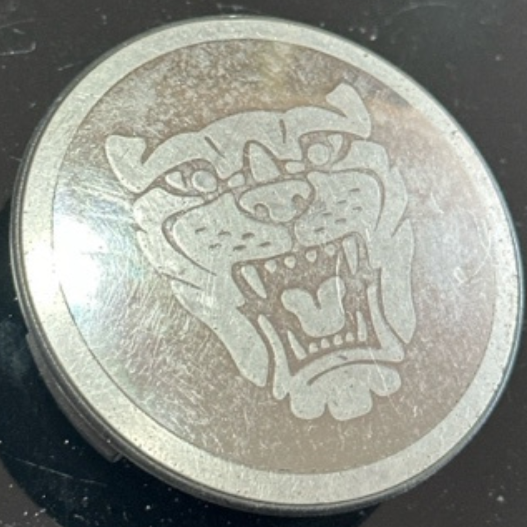 Jaguar Wheel Hub Center Cap 58MM aa8f8199