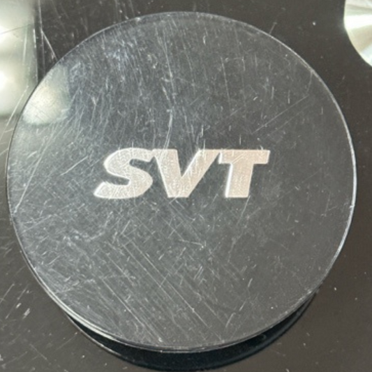 Ford Mustang SVT Wheel Hub Center Cap 1W73-1A096-AA fa6c94e0